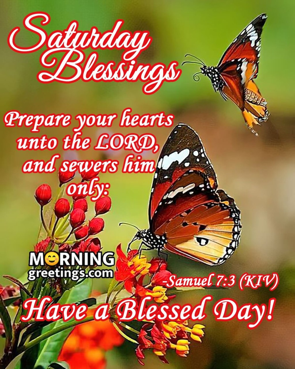 Picture of: Amazing Saturday Morning Blessings – Morning Greetings