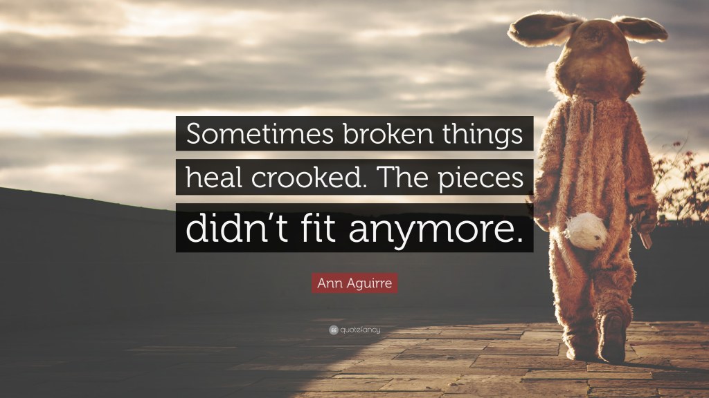Picture of: Ann Aguirre Quote: “Sometimes broken things heal crooked
