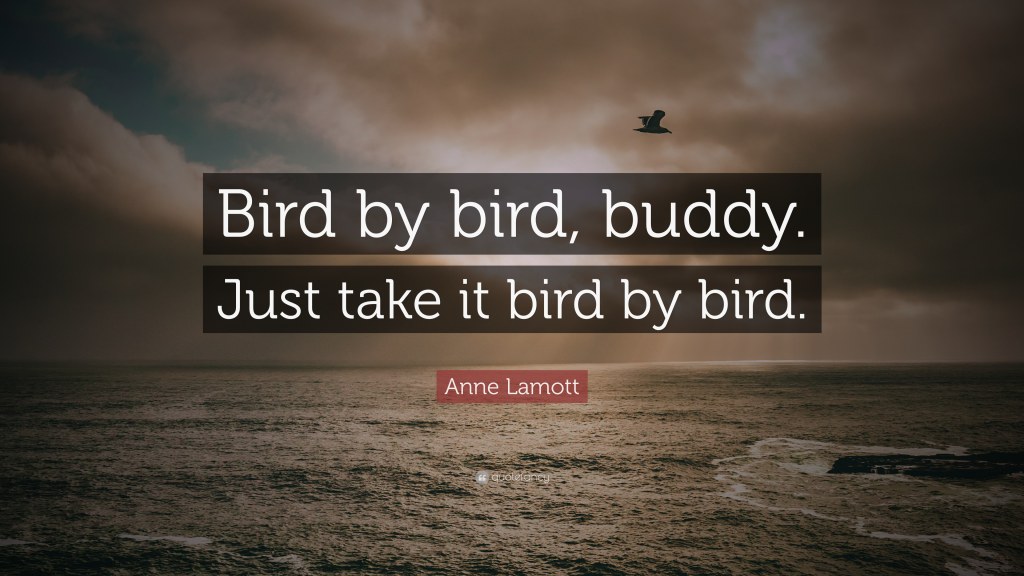 Picture of: Anne Lamott Quote: “Bird by bird, buddy. Just take it bird by bird