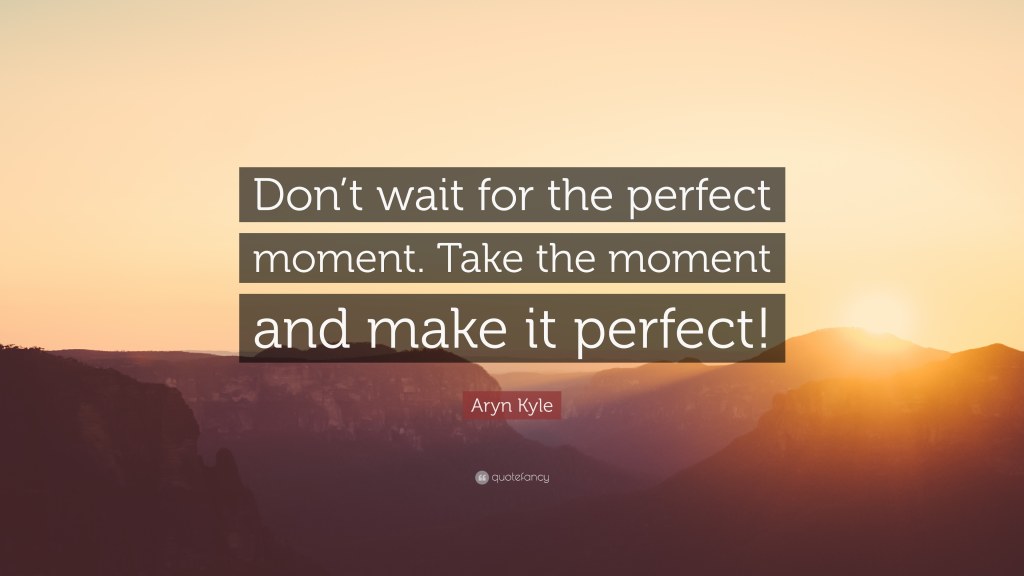 Picture of: Aryn Kyle Quote: “Don’t wait for the perfect moment