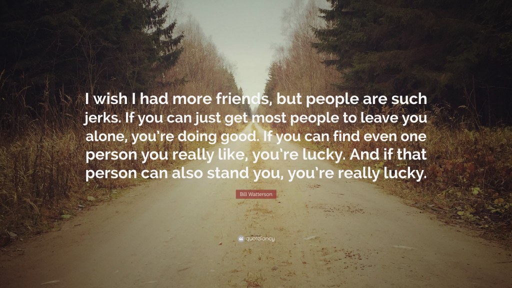Picture of: Bill Watterson Quote: “I wish I had more friends, but people are