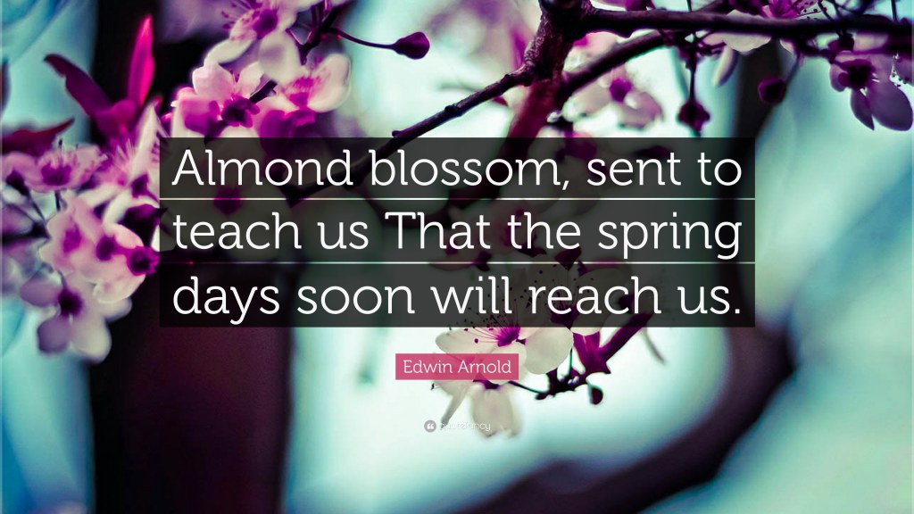 Picture of: Edwin Arnold Quote: “Almond blossom, sent to teach us That the