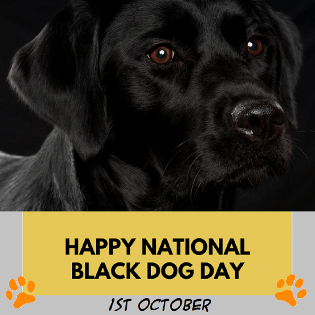 Picture of: Happy National Black Dog Day  Black dog day, Black dog, Dog days