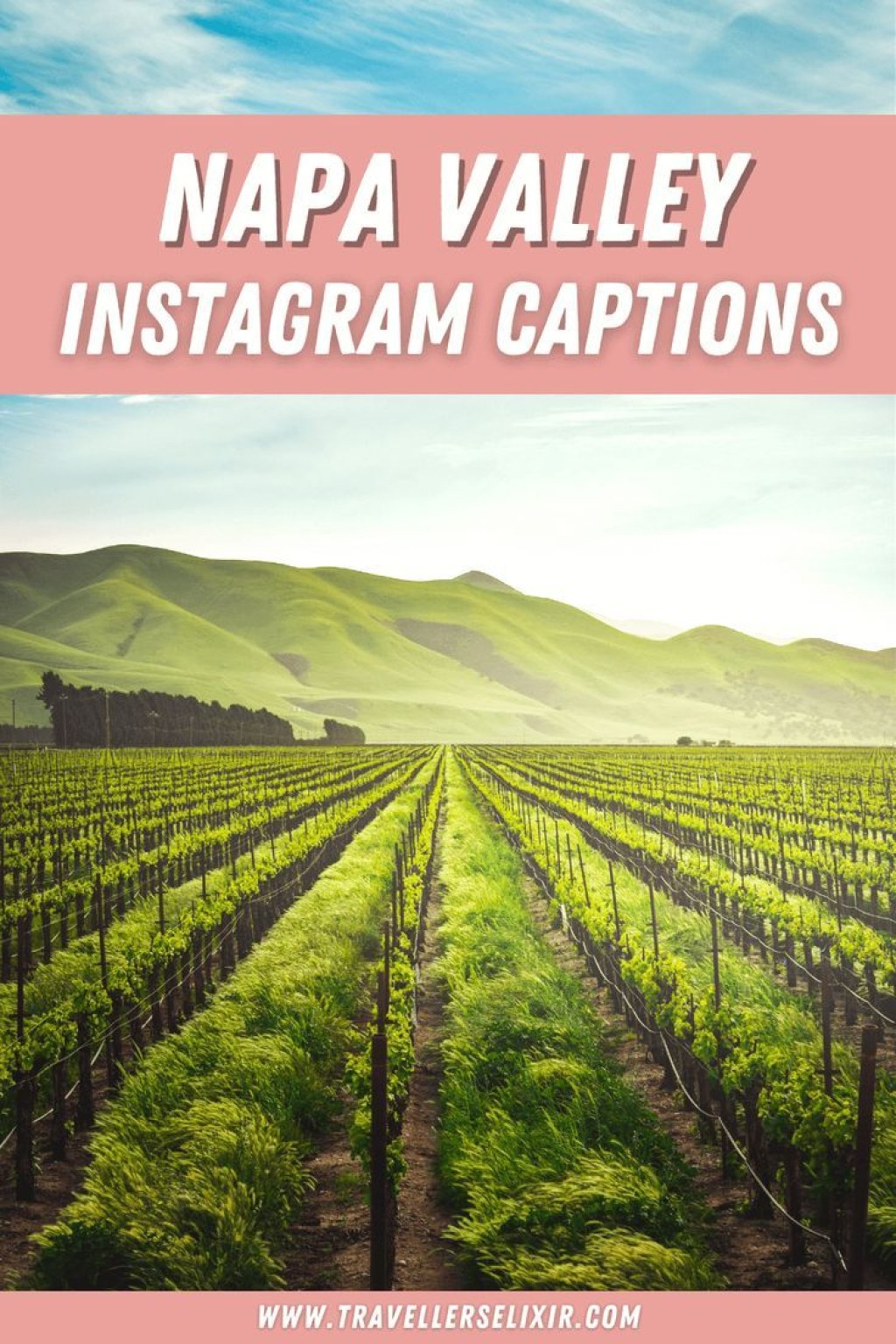 Picture of: Napa Valley Captions For Instagram – Puns, Quotes & Short